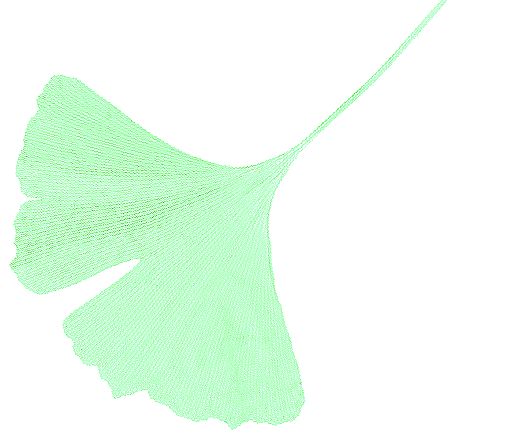 Ginko-Blatt